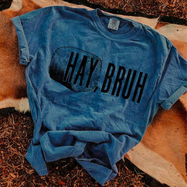 Hay Bruh DTF Print