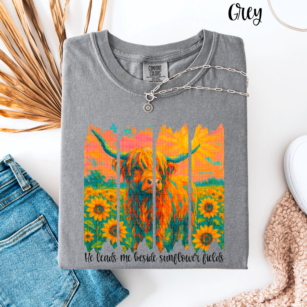 He Leads Me DTF Print