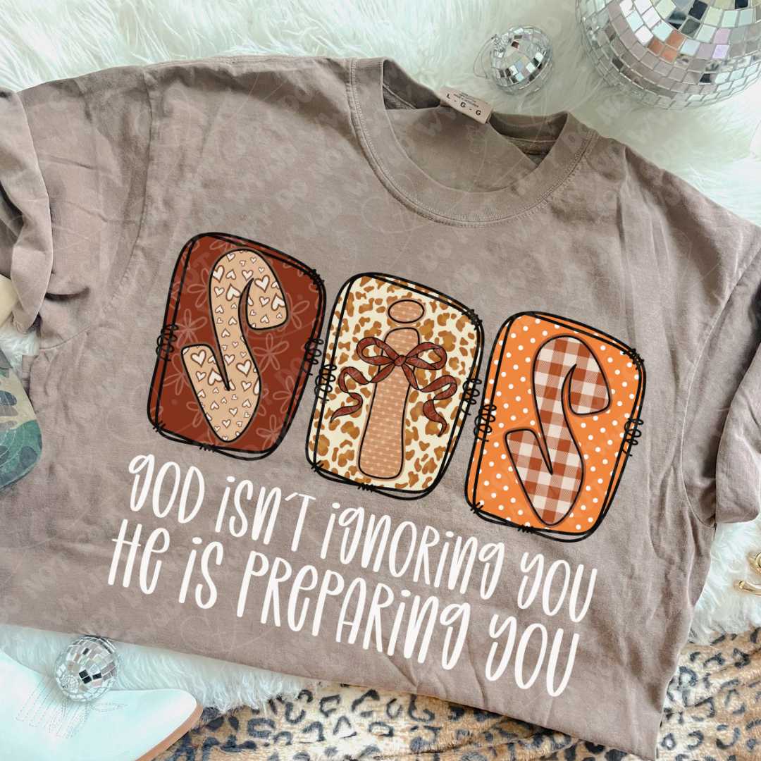 Sis Bundle LIGHT DTF Print