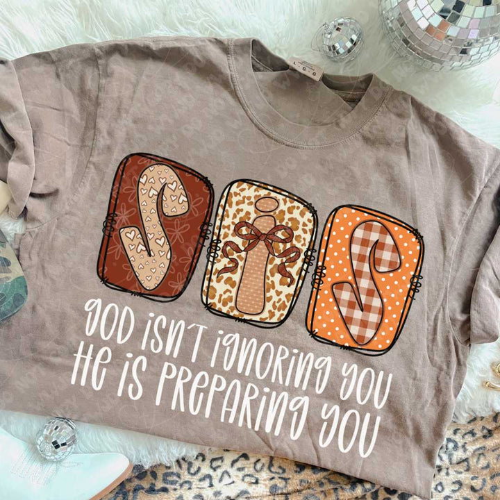 Sis Bundle LIGHT DTF Print