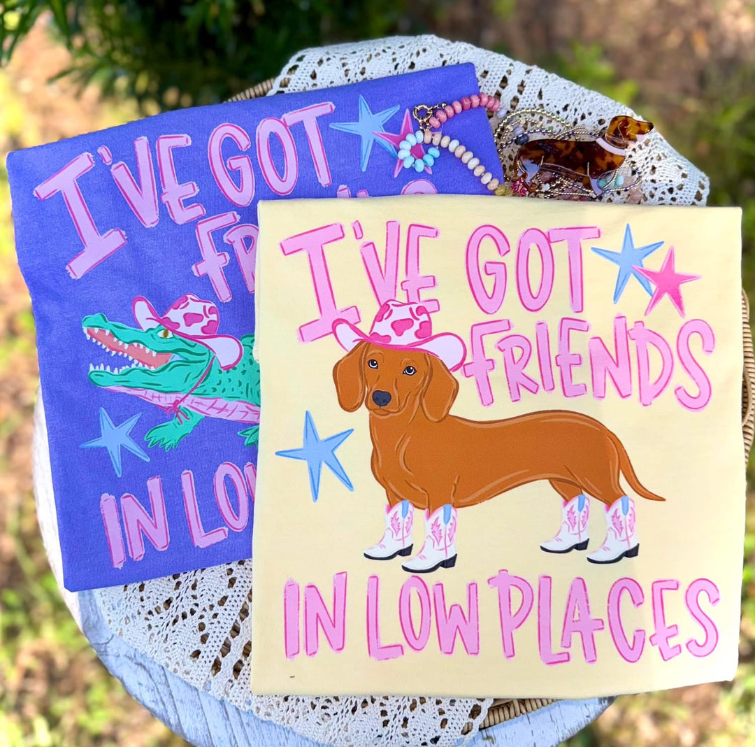 I’ve Got Friends in Low Places DTF Print