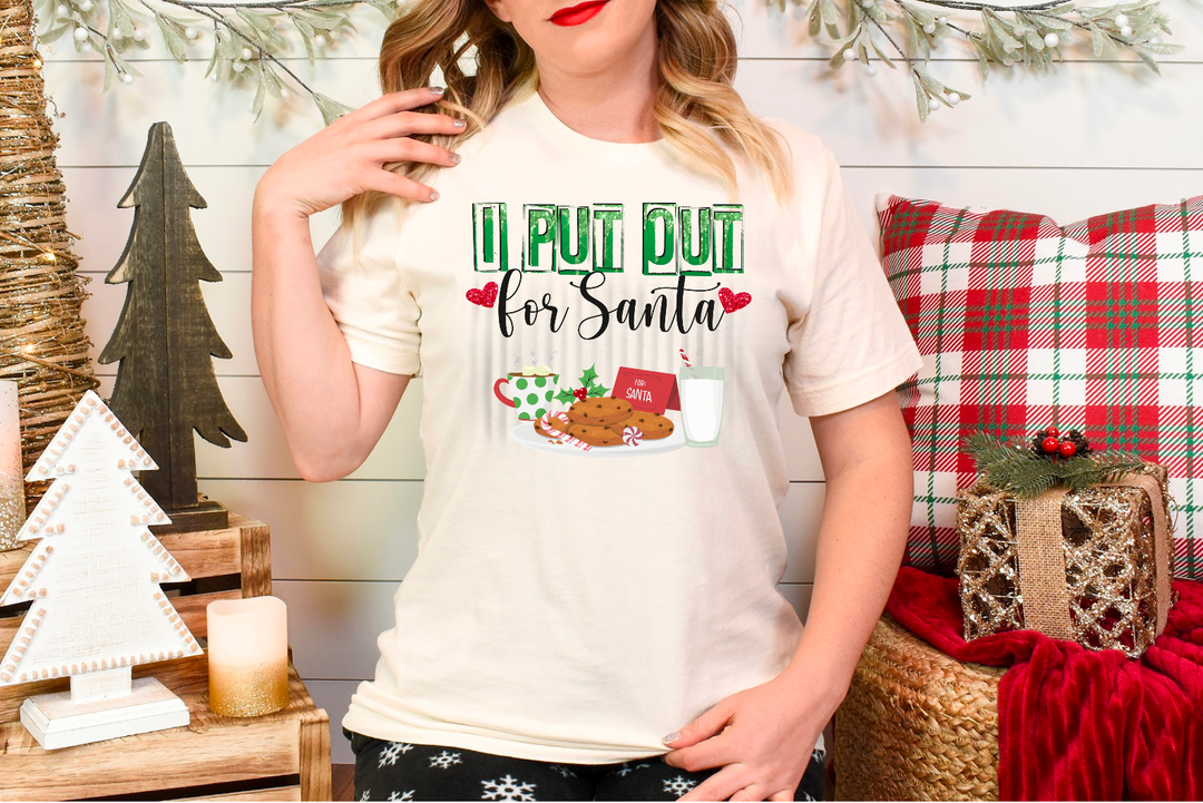 I Put Out For Santa DTF Print