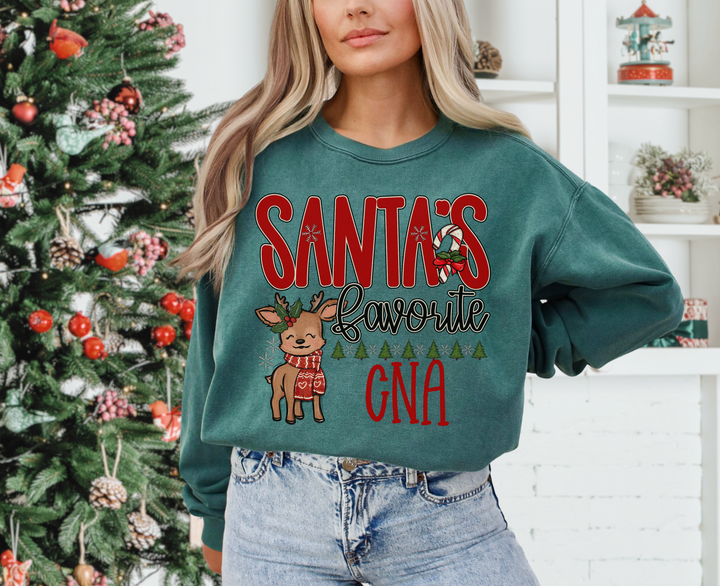 Santa’s Favorite Collection DTF Print