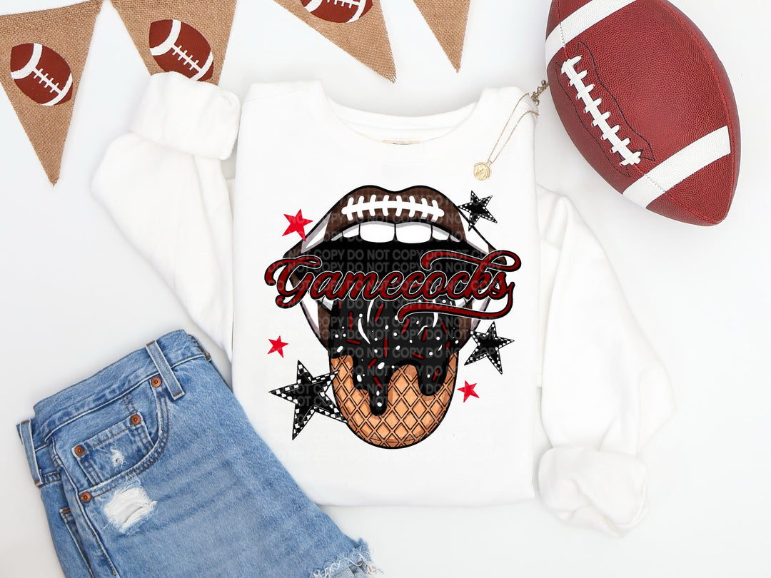 Football Mascots DTF Print