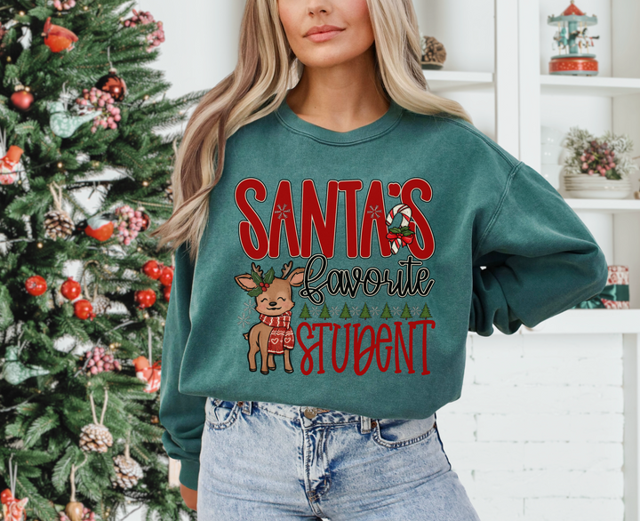 Santa’s Favorite Collection DTF Print