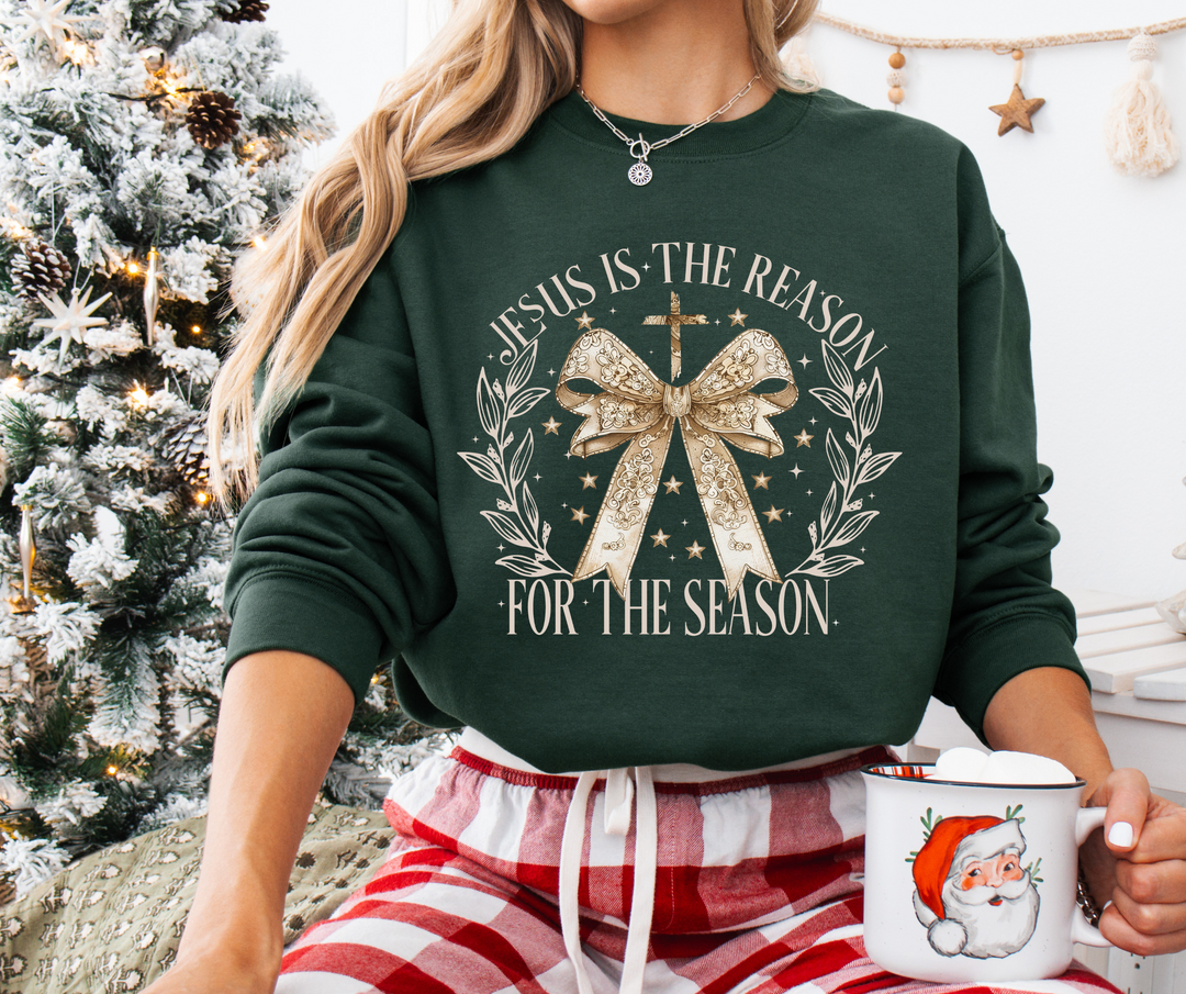 BLACK FRIDAY SPECIAL: JESUS IS THE REASON FOREST SWEATSHIRT