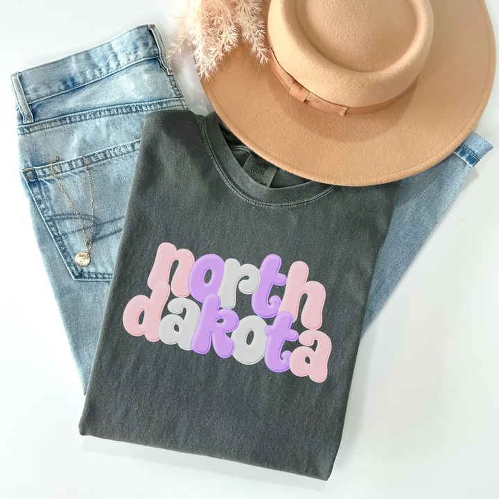 Pastel Faux Puff Print States Stacked DTF Print