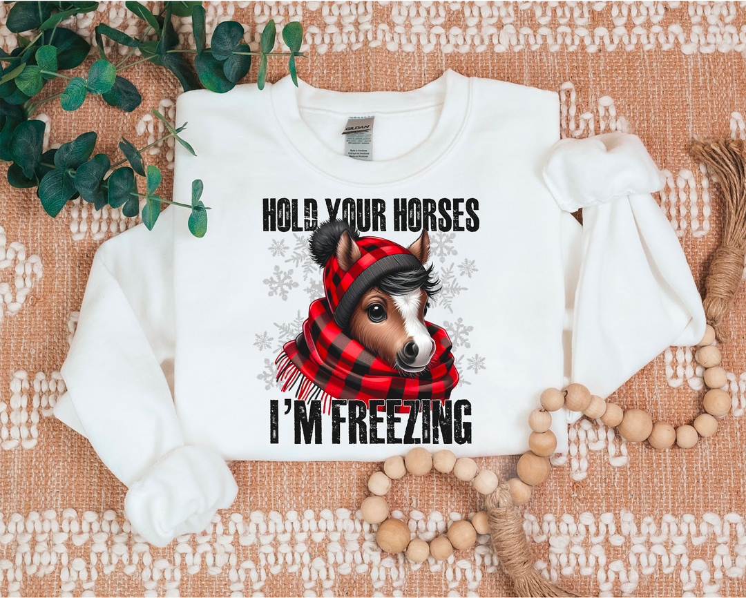 Hold Your Horses DTF Print