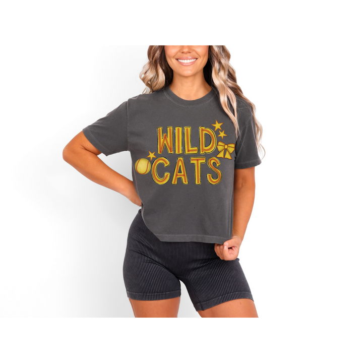 Softball Letters Custom DTF Print