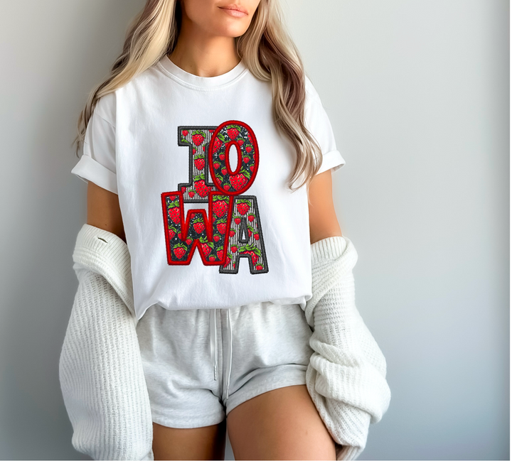 Faux Embroidery Strawberry States DTF Print