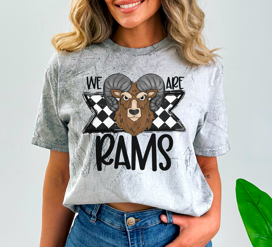 We Are Team Mascot Checked Ribbon DTF Print