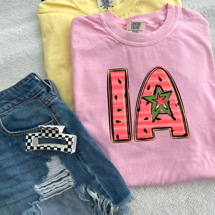 Watermelon States DTF Print