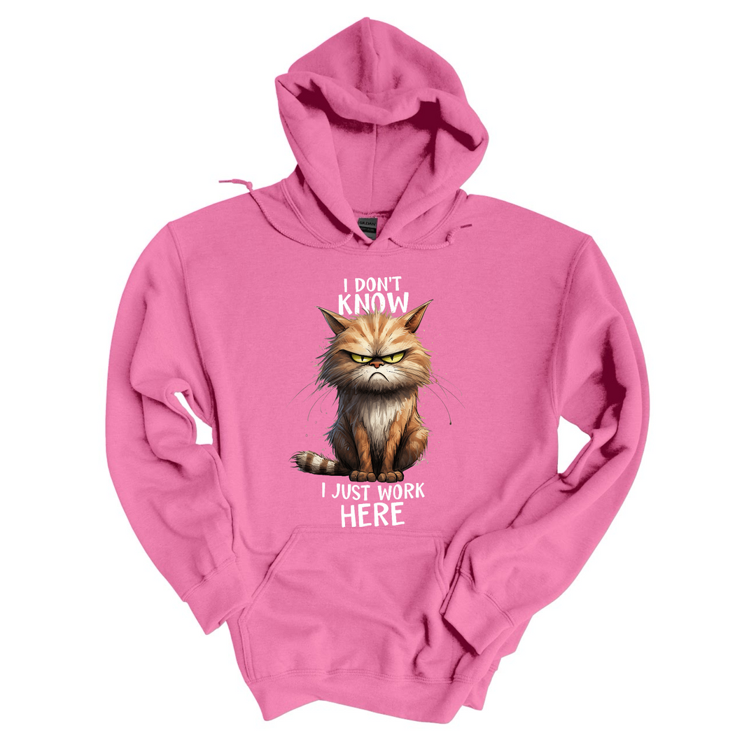 I Don’t Know I just Work Here DTF Print