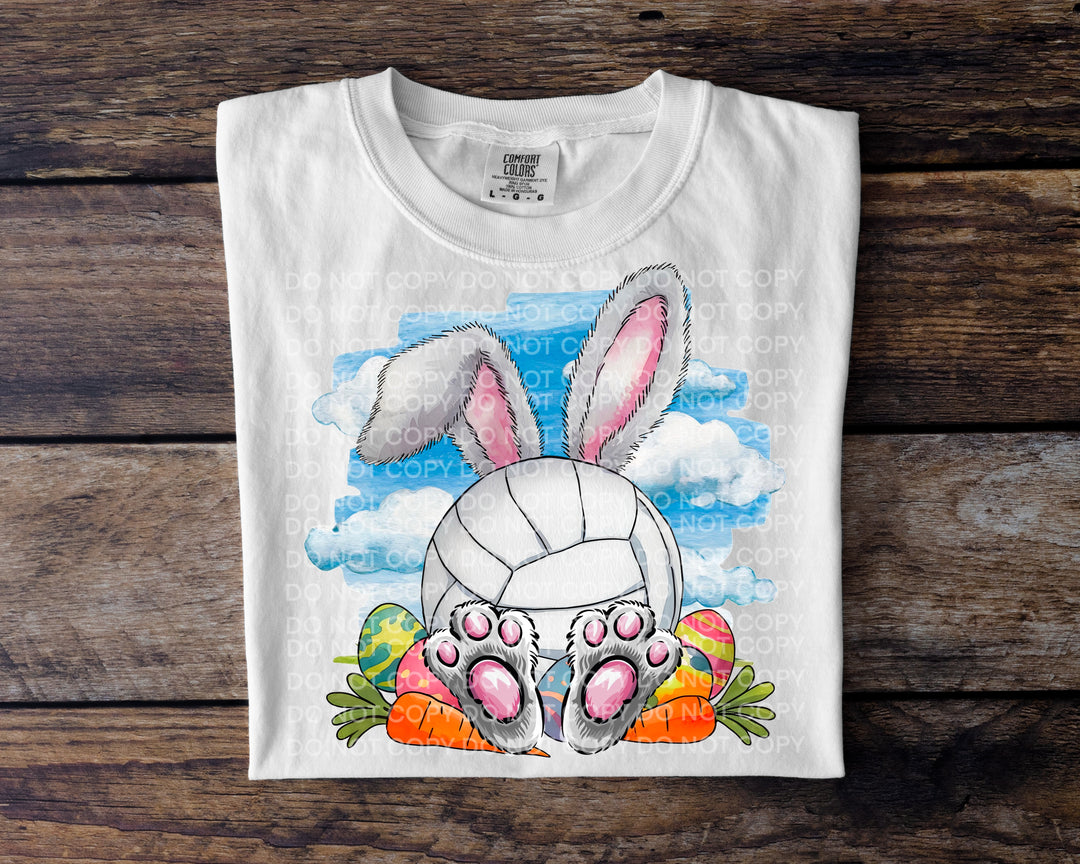 Sport Bunnies DTF Print