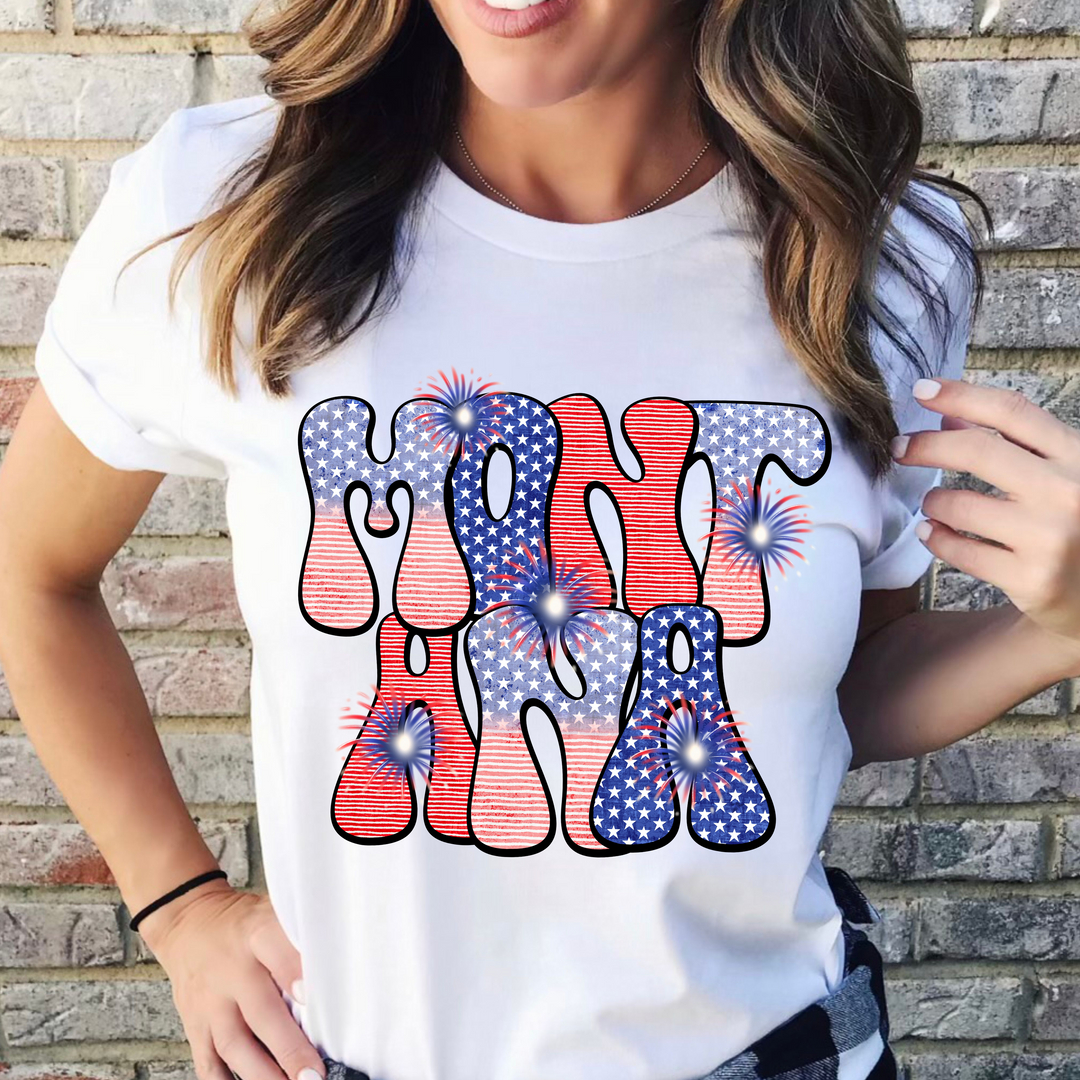 Patriotic Stars and Stripes States DTF Print