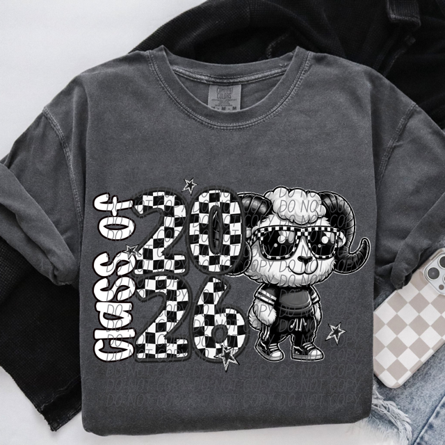 Class of 2026 Checked Mascots DTF Print