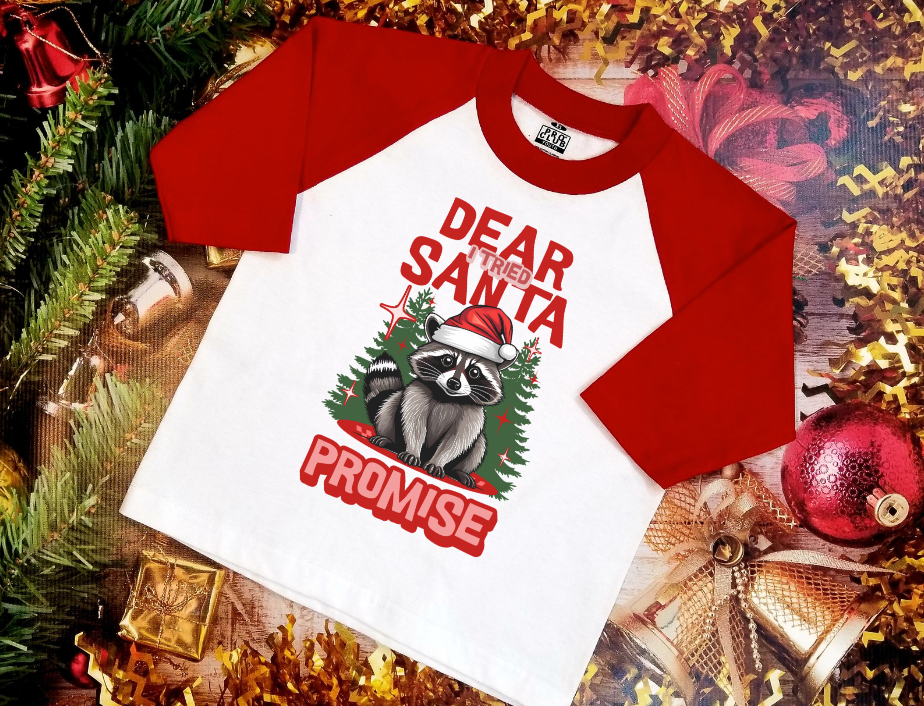 Dear Santa I Tried DTF Print