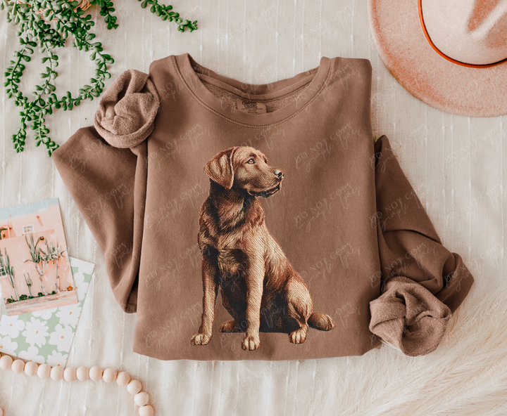 Needlepoint Pets DTF Print