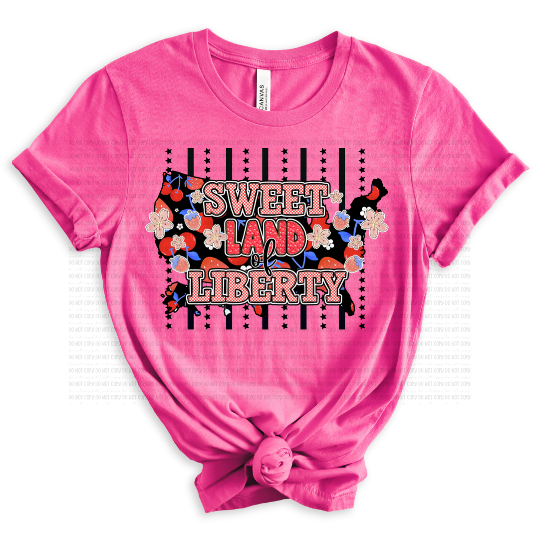 Sweet Land Of Liberty Lines DTF Print