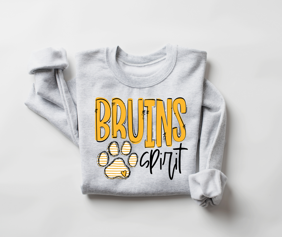 Go Team Bruins Paw Spirit DTF Print