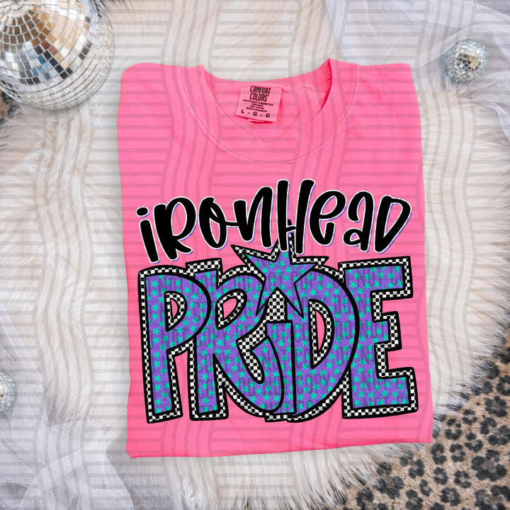 Preppy Star Pride Mascots DTF Print