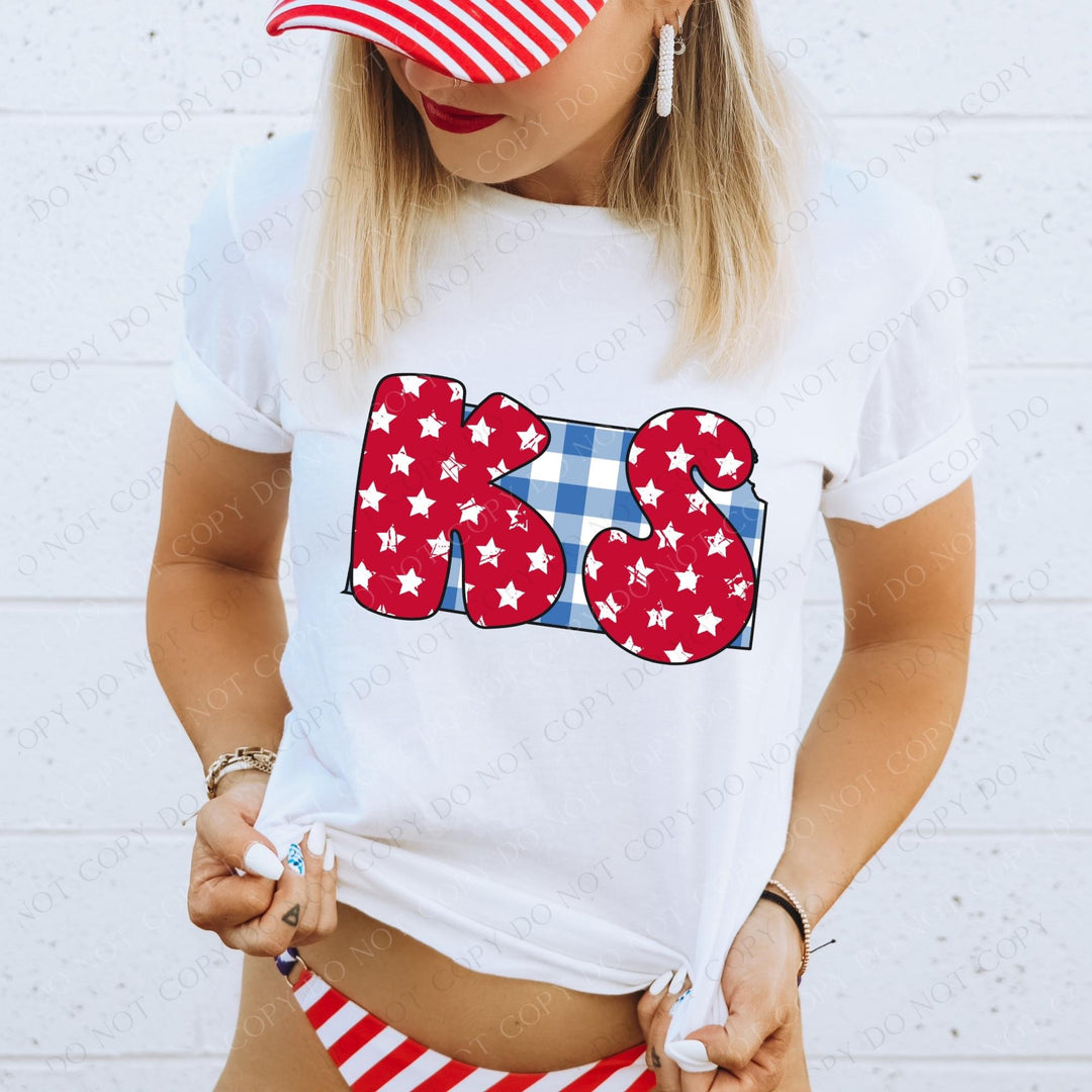 Gingham Stars Red White and Blue State DTF Print