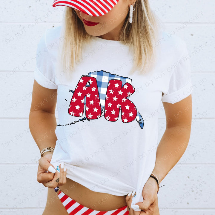 Gingham Stars Red White and Blue State DTF Print