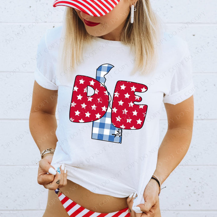 Gingham Stars Red White and Blue State DTF Print