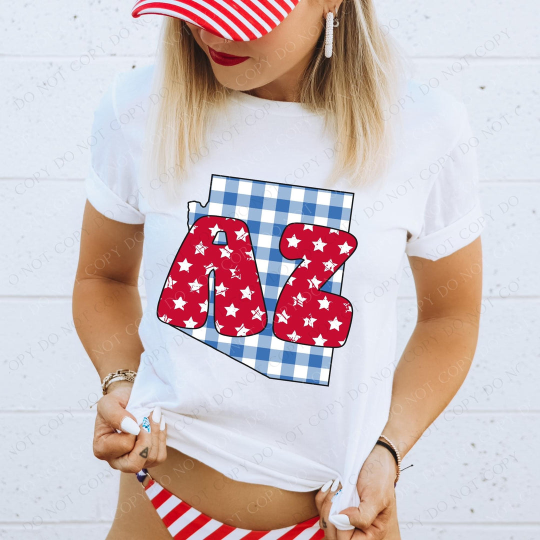 Gingham Stars Red White and Blue State DTF Print