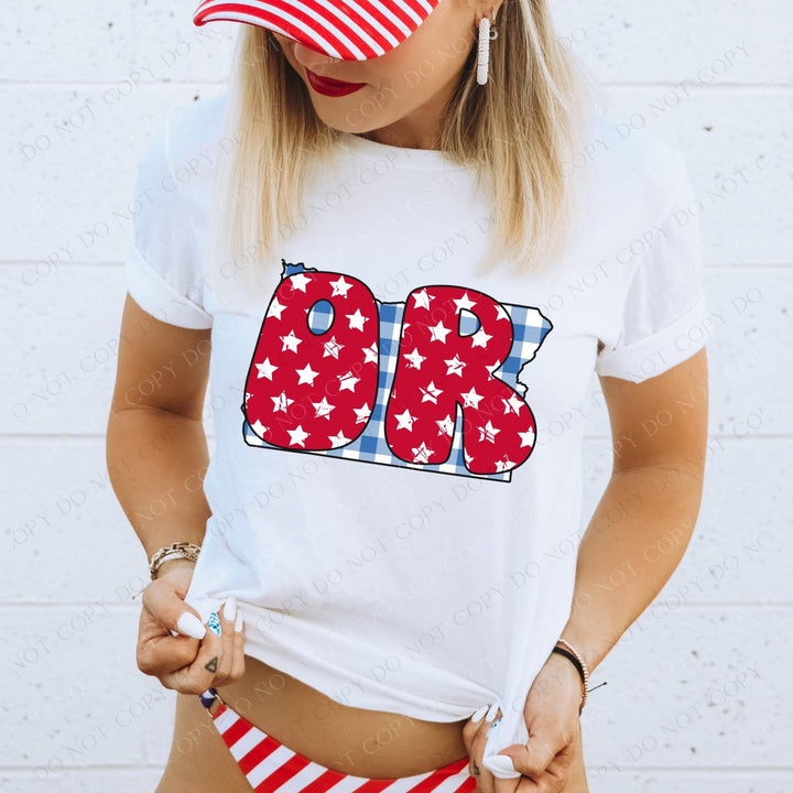 Gingham Stars Red White and Blue State DTF Print