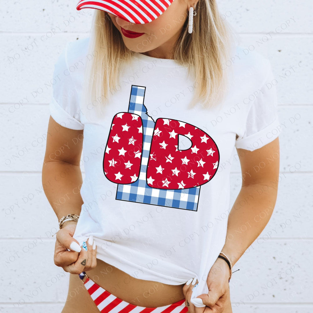 Gingham Stars Red White and Blue State DTF Print