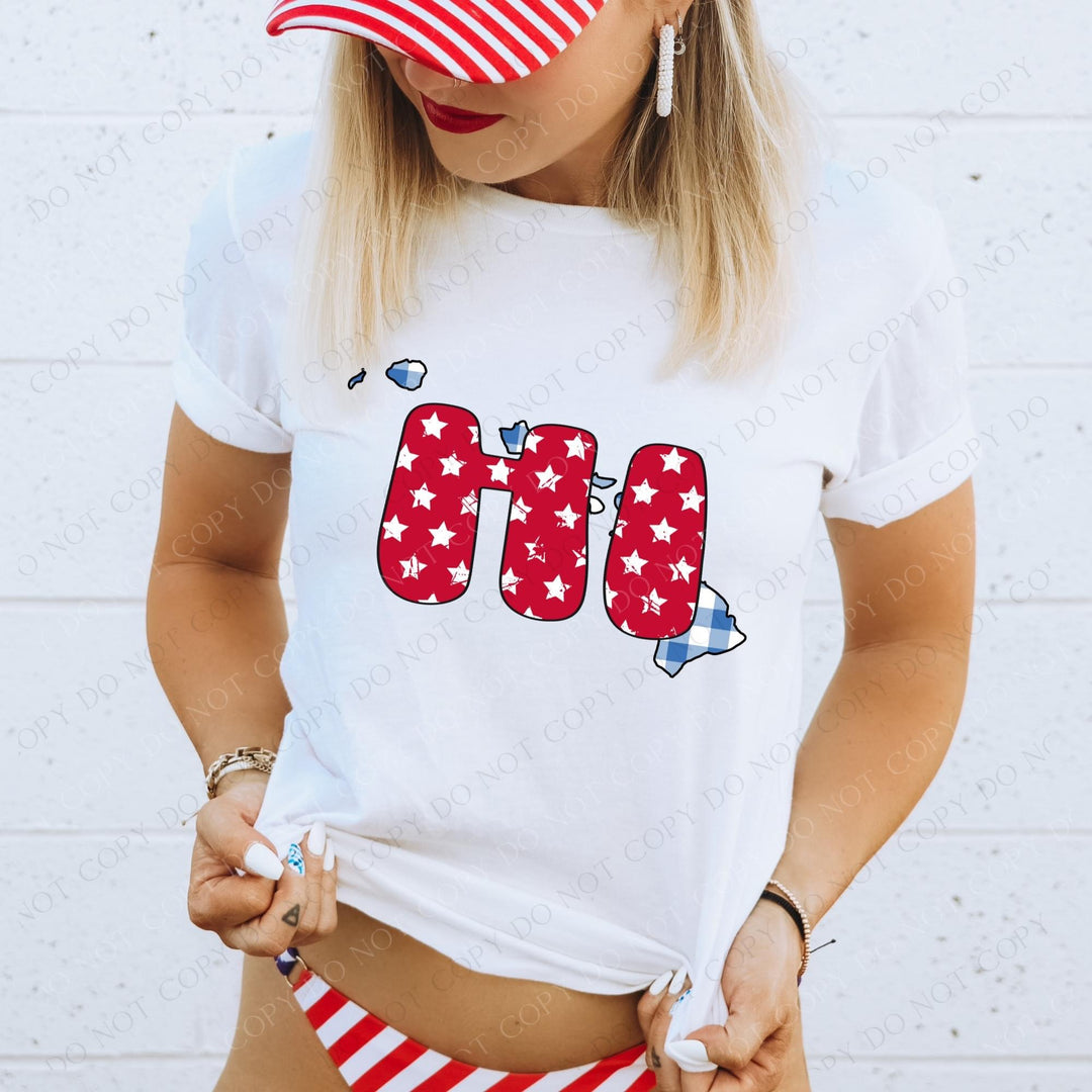 Gingham Stars Red White and Blue State DTF Print