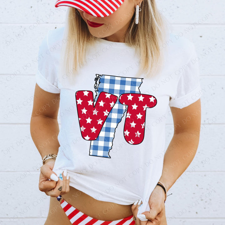 Gingham Stars Red White and Blue State DTF Print