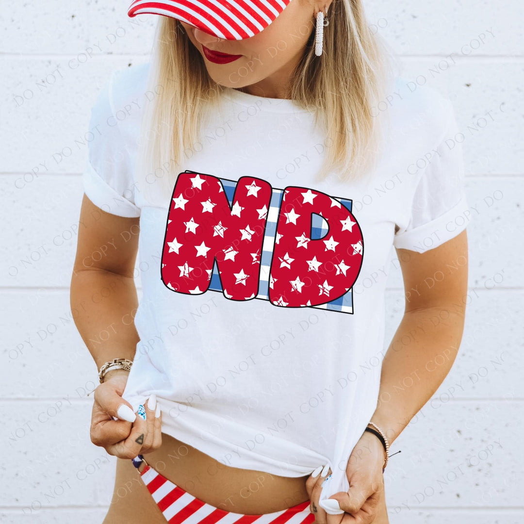 Gingham Stars Red White and Blue State DTF Print