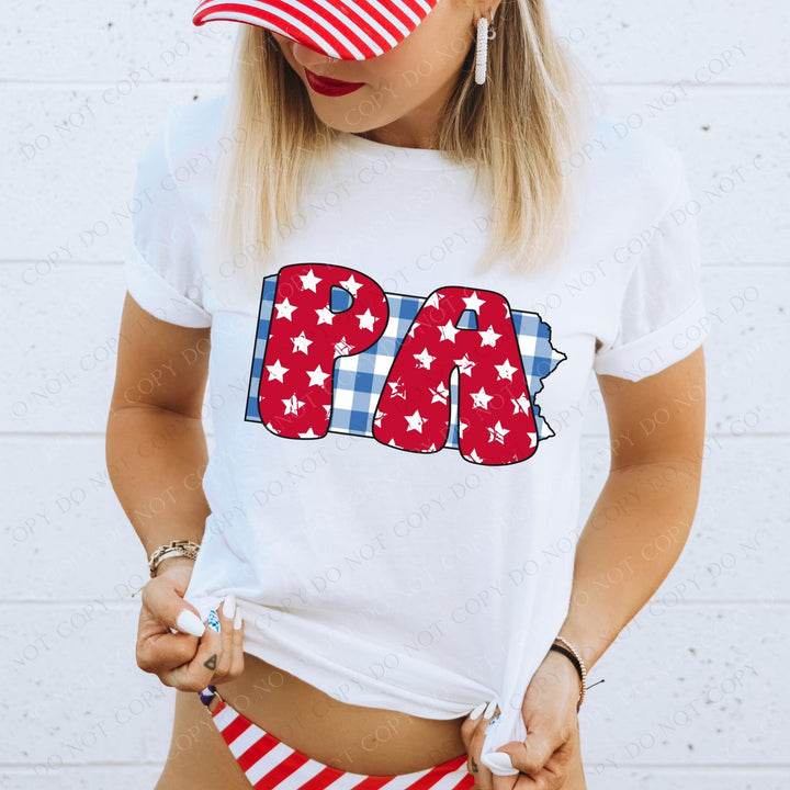 Gingham Stars Red White and Blue State DTF Print