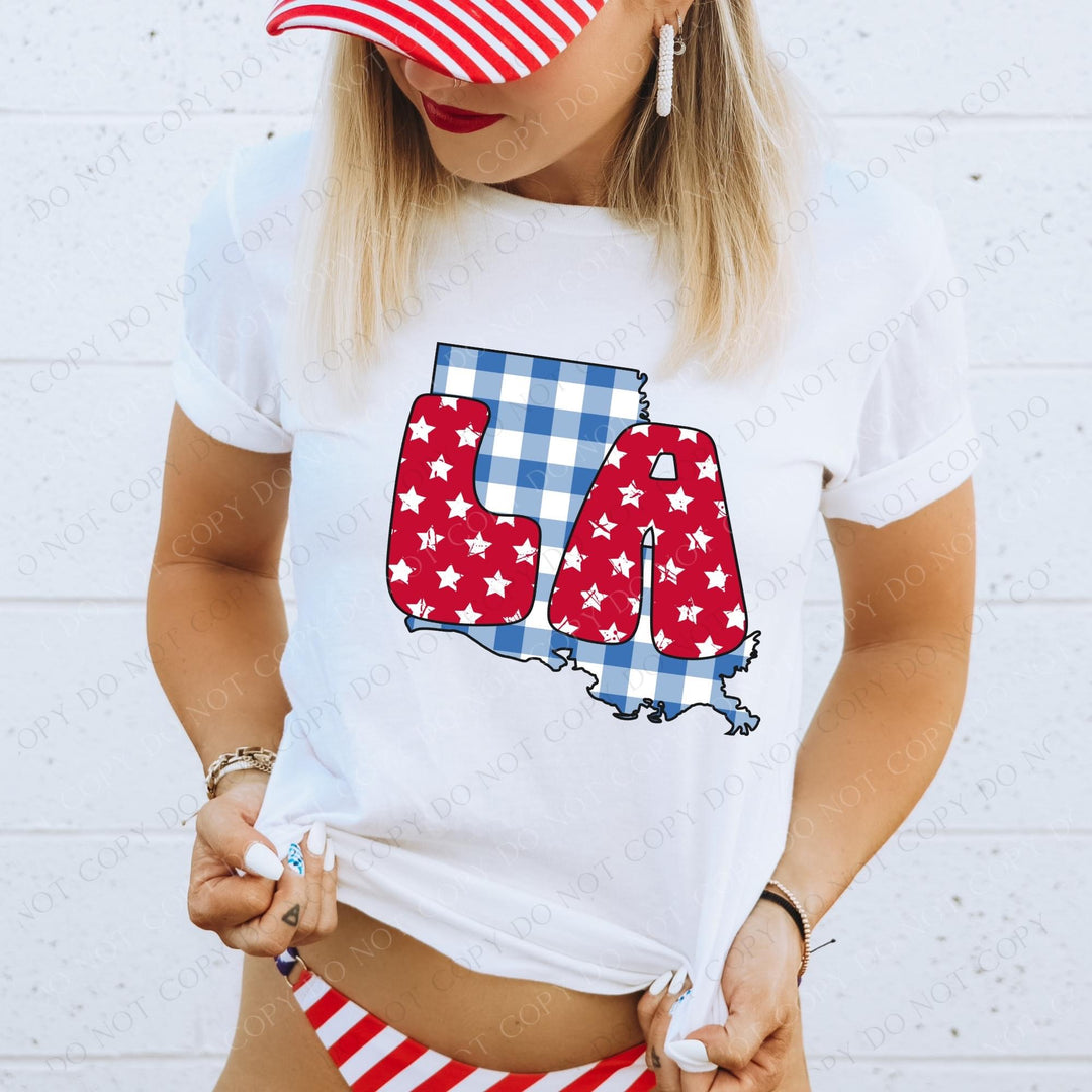 Gingham Stars Red White and Blue State DTF Print