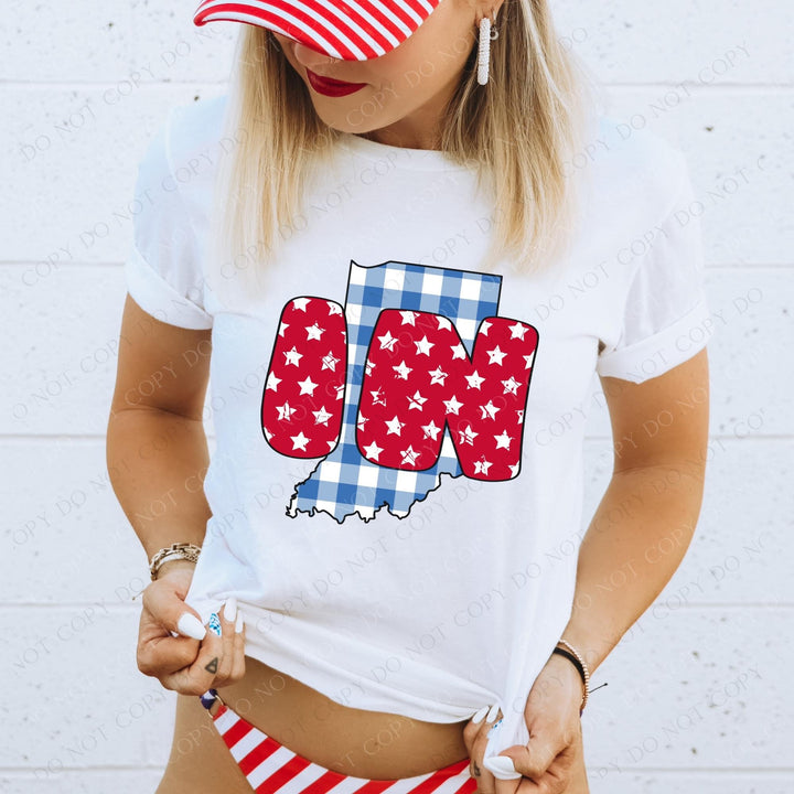 Gingham Stars Red White and Blue State DTF Print