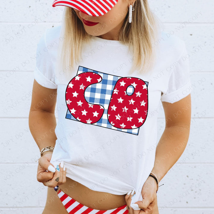 Gingham Stars Red White and Blue State DTF Print