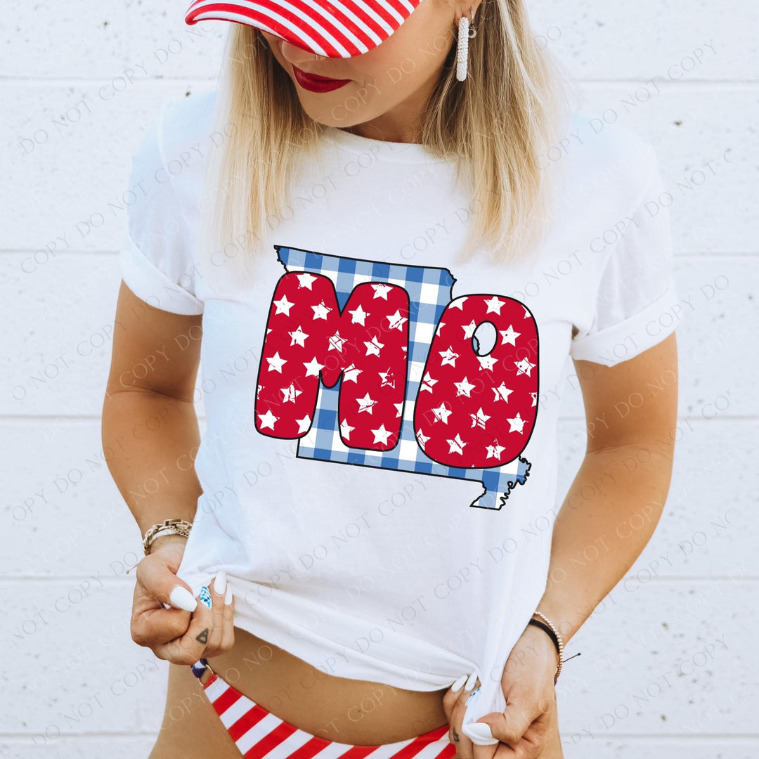 Gingham Stars Red White and Blue State DTF Print