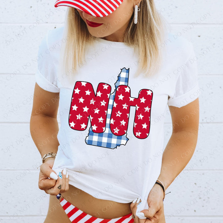 Gingham Stars Red White and Blue State DTF Print