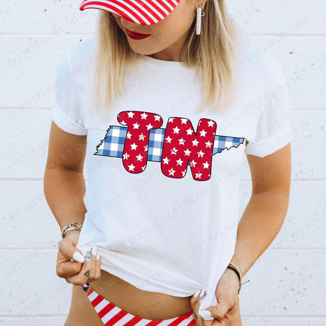 Gingham Stars Red White and Blue State DTF Print