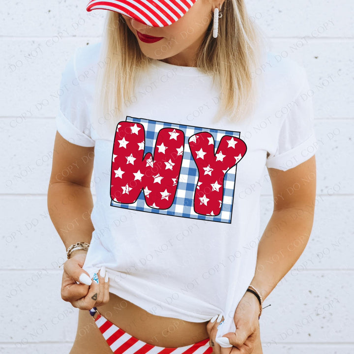 Gingham Stars Red White and Blue State DTF Print