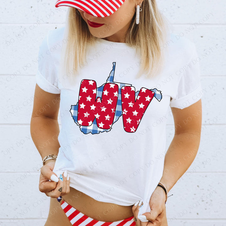 Gingham Stars Red White and Blue State DTF Print