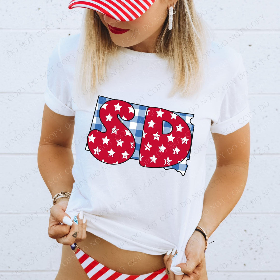 Gingham Stars Red White and Blue State DTF Print