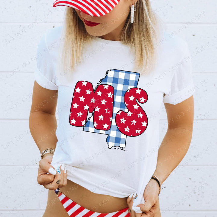 Gingham Stars Red White and Blue State DTF Print