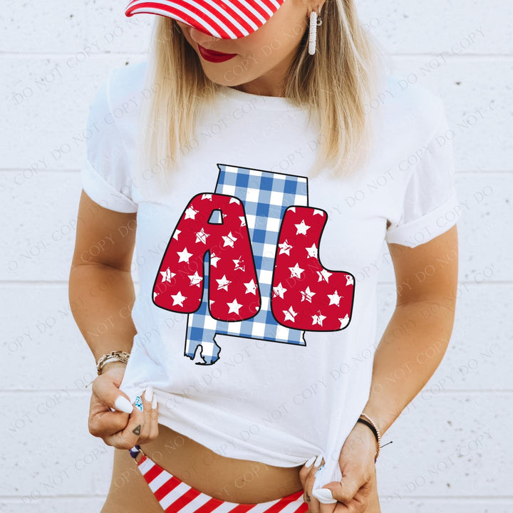 Gingham Stars Red White and Blue State DTF Print